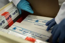 Německo chce uvolnit přes Vánoce protiepidemická opatření. Rusko začalo očkovat vlastní vakcínou