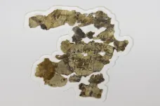 Archeologové objevili nové fragmenty starověkých svitků od Mrtvého moře