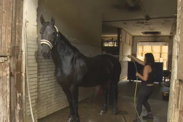 Hradecký jezdecký klub prodává své pozemky za miliony, od státu je přitom dostal zadarmo