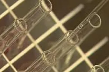 Britští vědci úspěšně stvořili hybridní embryo lidské a zvířecí buňky