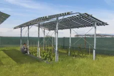 V Litomyšli mají růst maliny pod solárními panely