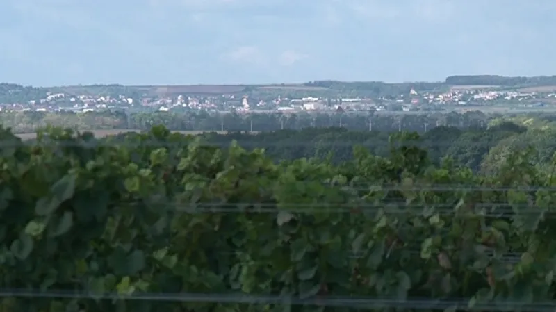 Podivné machinace Vitisvinu odhalila kontrola krajského úřadu