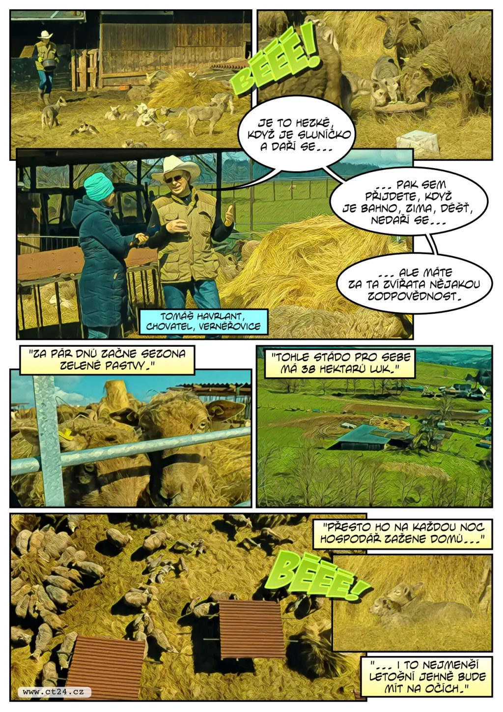 Chovatele ovcí mají obavy z vlků