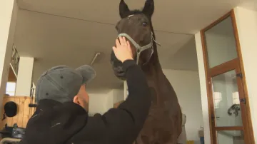 Ukrajinští váleční veteráni rehabilitují na koních