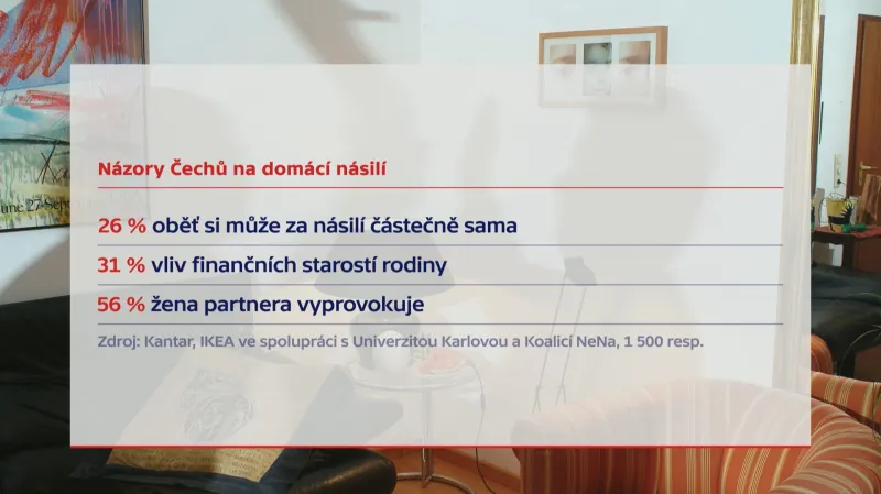 Názory Čechů na domácí násilí