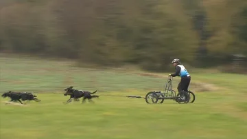 Musherů se na start postavilo devadesát čtyři