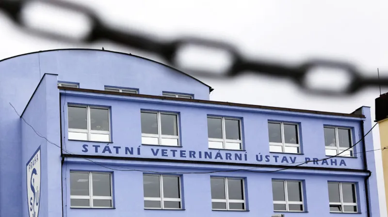 Koňské maso pod dohledem úřadů