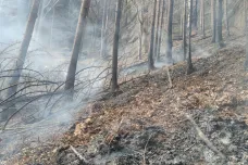 Květnový požár v Českém Švýcarsku policie vyhodnotila jako přestupek