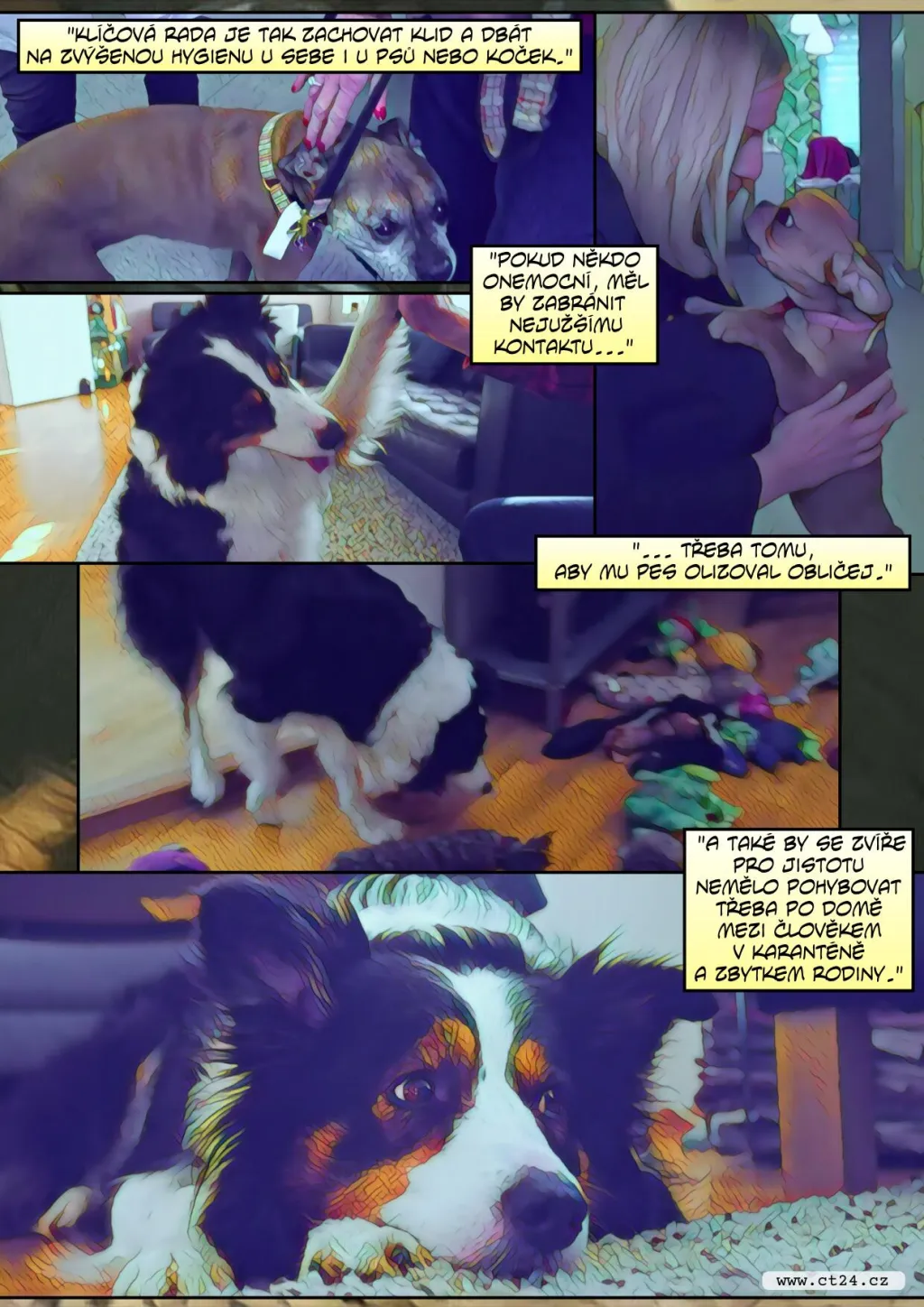 Zvířata nepřenáší koronavirus