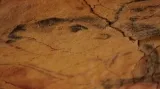 Replika jeskyně Altamira