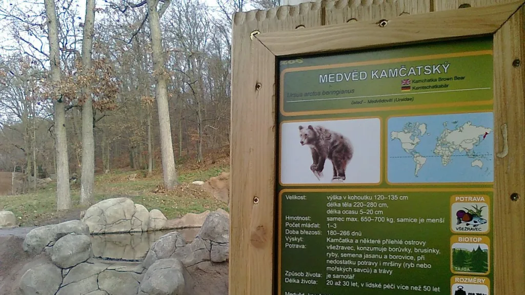 Výběh medvědů kamčatských v brněnské zoo