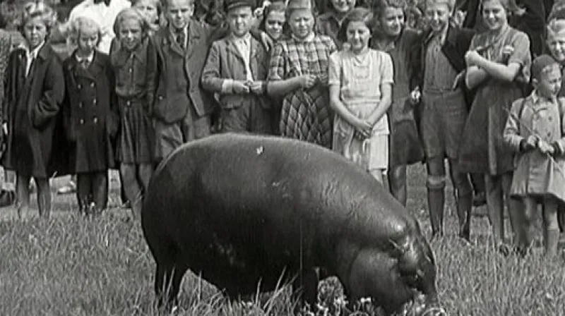 Pražská ZOO v minulosti a dnes