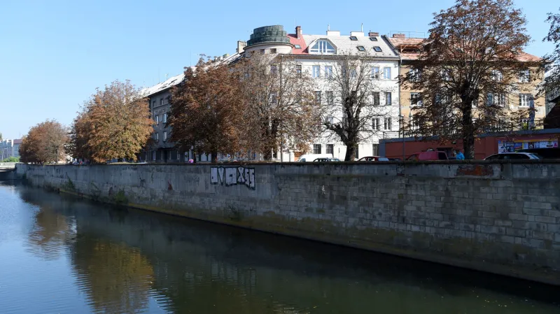 Kácení stromů na břehu řeky Moravy