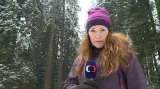 Lenka Kratochvílová
