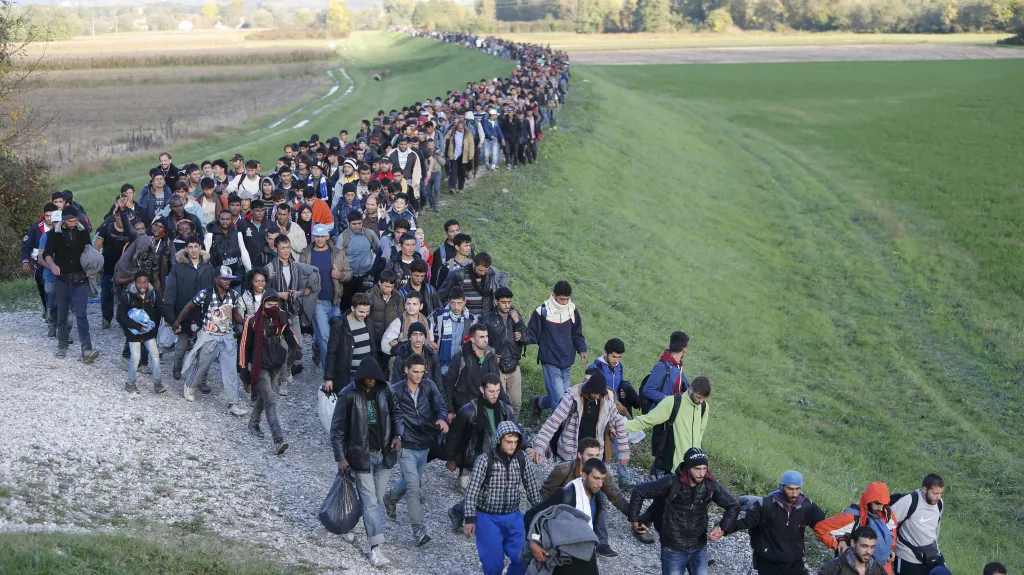 Migranti
