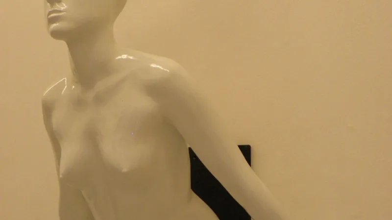 Dílo Pauliny Skavove