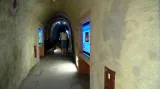Nová expozice plzeňské zoo v podzemí