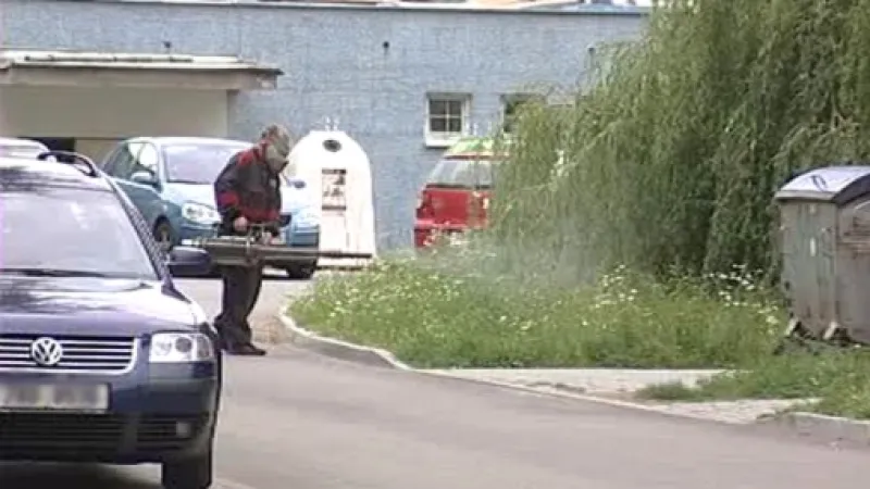 Postřiky ve městech