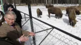 Princ Charles v polském Bělověžském národním parku