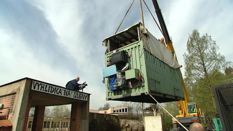 Stěhování slonů v pražské zoo