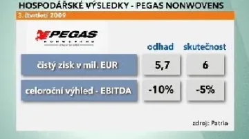Hospodářské výsledky Pegas Nonwovens