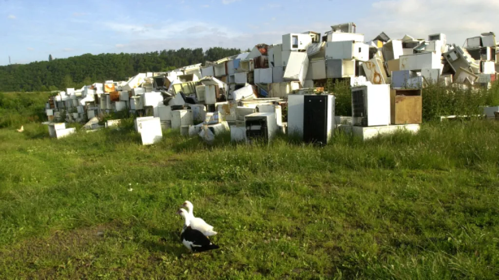 Černá skládka lednic