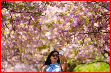 Ze studeného pátečního rána se počasí odrazí k poměrně teplému víkendu