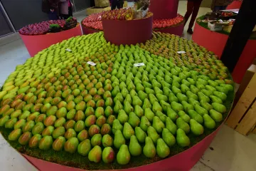 Farmářské ceny ovoce a zeleniny jsou podle zelinářů na minimu. Náklady ale rostou