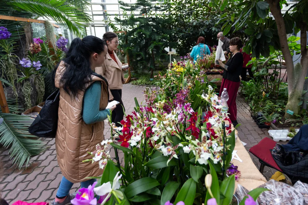Výstava orchidejí v Olomouci