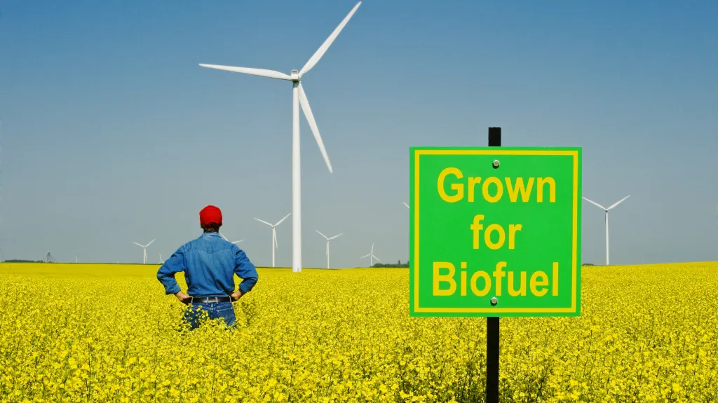 Pole biopaliva