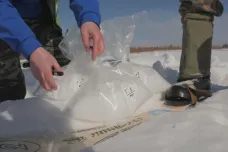 Na Sibiři sněží z nebe mikroplasty. Vědci problém teprve začínají zkoumat