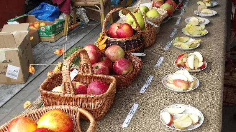 Z akce ve Strančicích