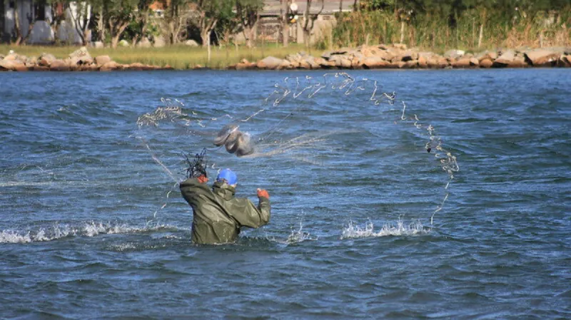 Spolupráce delfínů a lidí při lovu