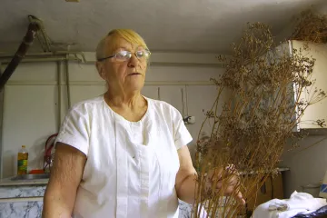 Manželé v penzi vyšlechtili novou odrůdu kmínu. Pekárny na ni čekaly čtvrt století