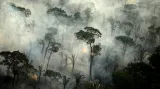 Rozsáhlé požáry v amazonském pralese z leteckého záběru