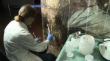 Restaurátorské práce na díle Leonarda da Vinciho