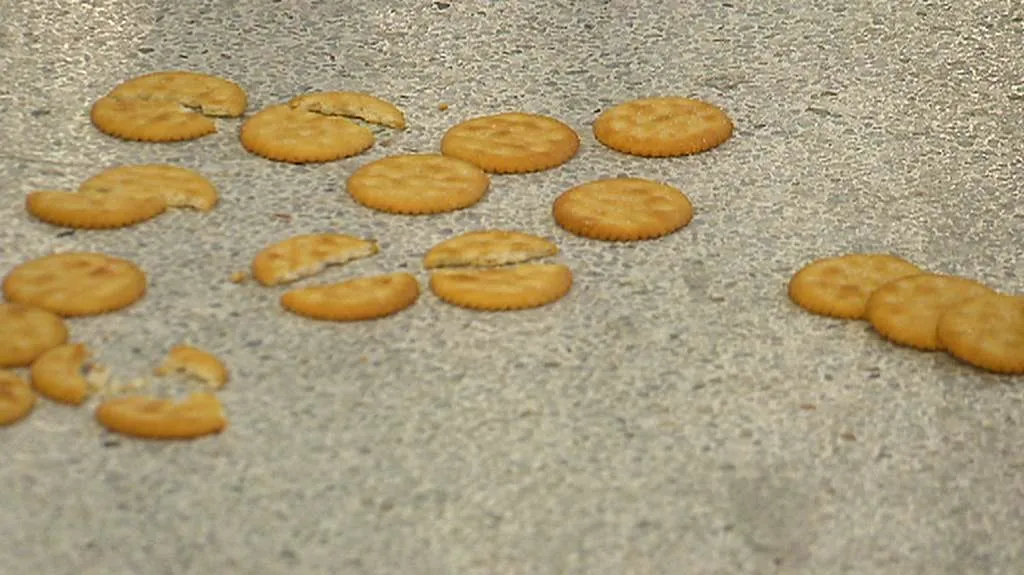 Umělecky pojaté sušenky na výstavě v Bari