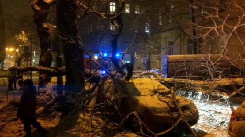 Sníh lámal větve stromů u pražského hlavního nádraží,  Autor: Sára Schlitzová,  Zdroj: Facebook Počasí ČT