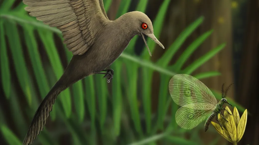 Vizualizace „dinosauřího kolibříka“