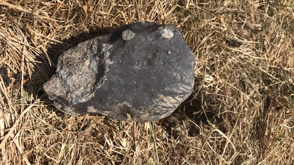 Největší meteorit Renchen (M2) o hmotnosti 955 gramů