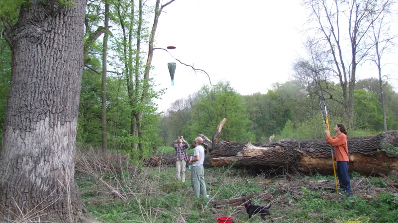 Výzkum Moravské Amazonie