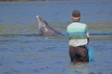 U Brazílie spolupracují rybáři s delfíny. Podle nové studie to pomáhá oběma stranám