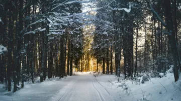 Ilustrační snímek