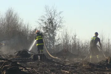 Stát chce přijmout dalších 8000 zaměstnanců, jejich počet se přiblíží půl milionu