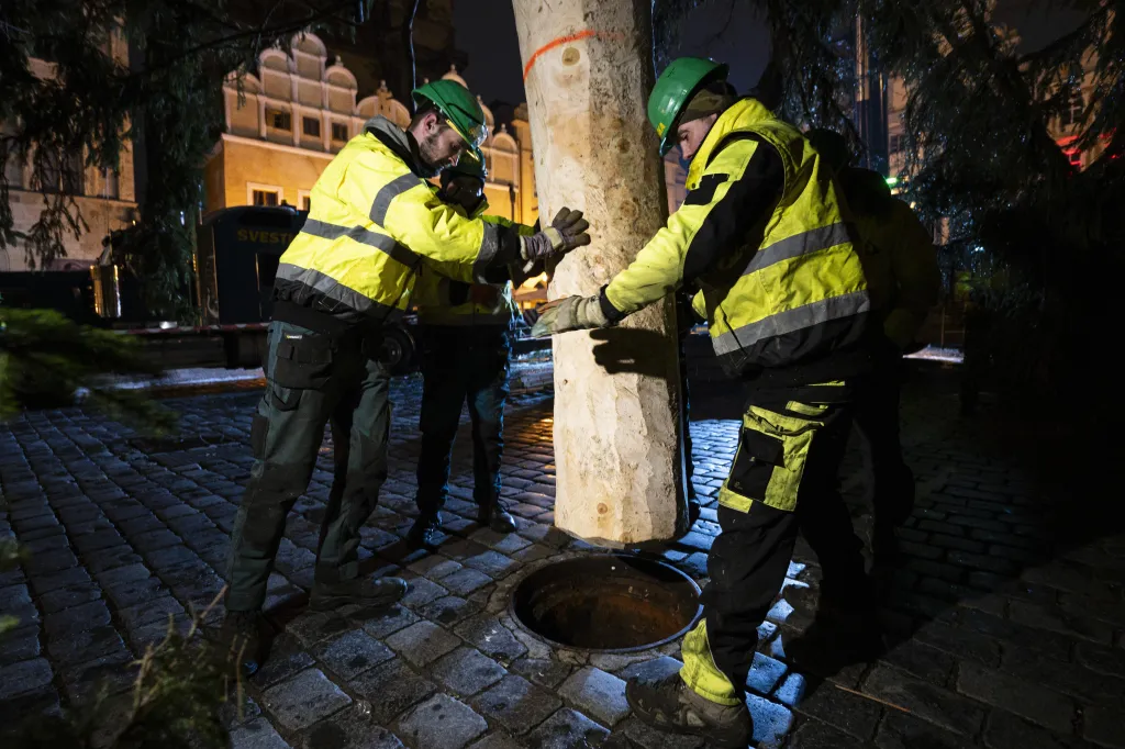Na pražském Staroměstském náměstí ukotvili vánoční strom
