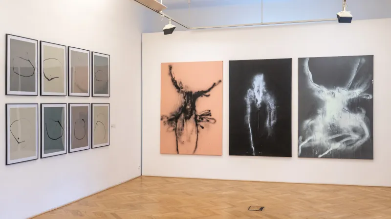 Výstava Lukáše Musila Azajtókzáródnak (Galerie Villa Pellé)