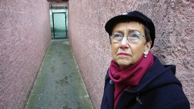 13. komnata Jiřiny Šiklové (2008)