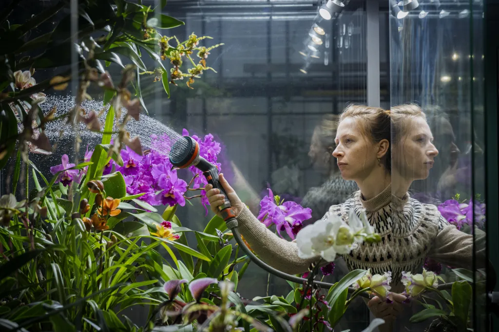 Tento rok se v liberecké botanické zahradě nesl především ve znamení vzdělávacích a kulturních akcí, výstav i práce s veřejností