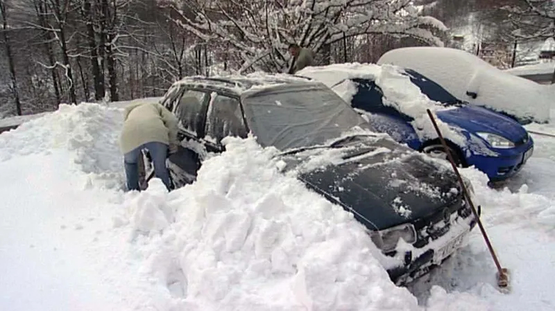 Kalamita v Jeseníku