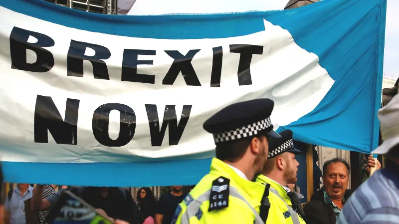 Demonstrace za rychlý brexit